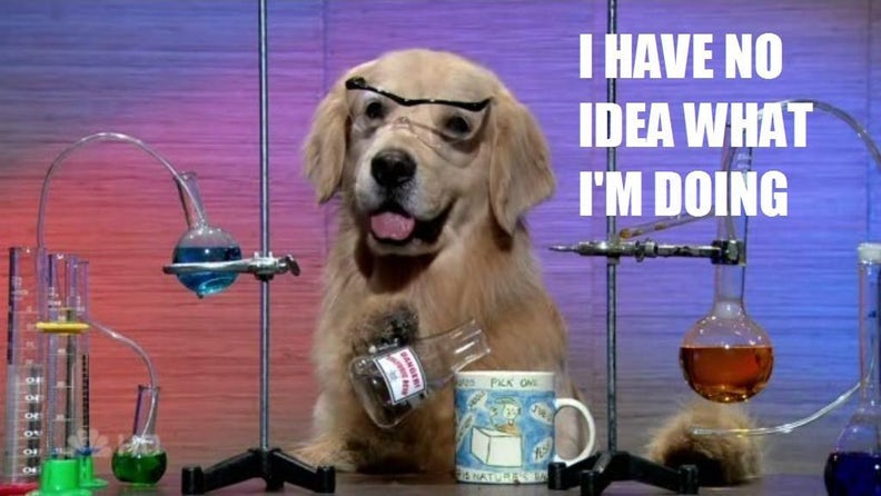 A picture of a dog behing chemistry equipment with text 'I have no idea what I'm doing'