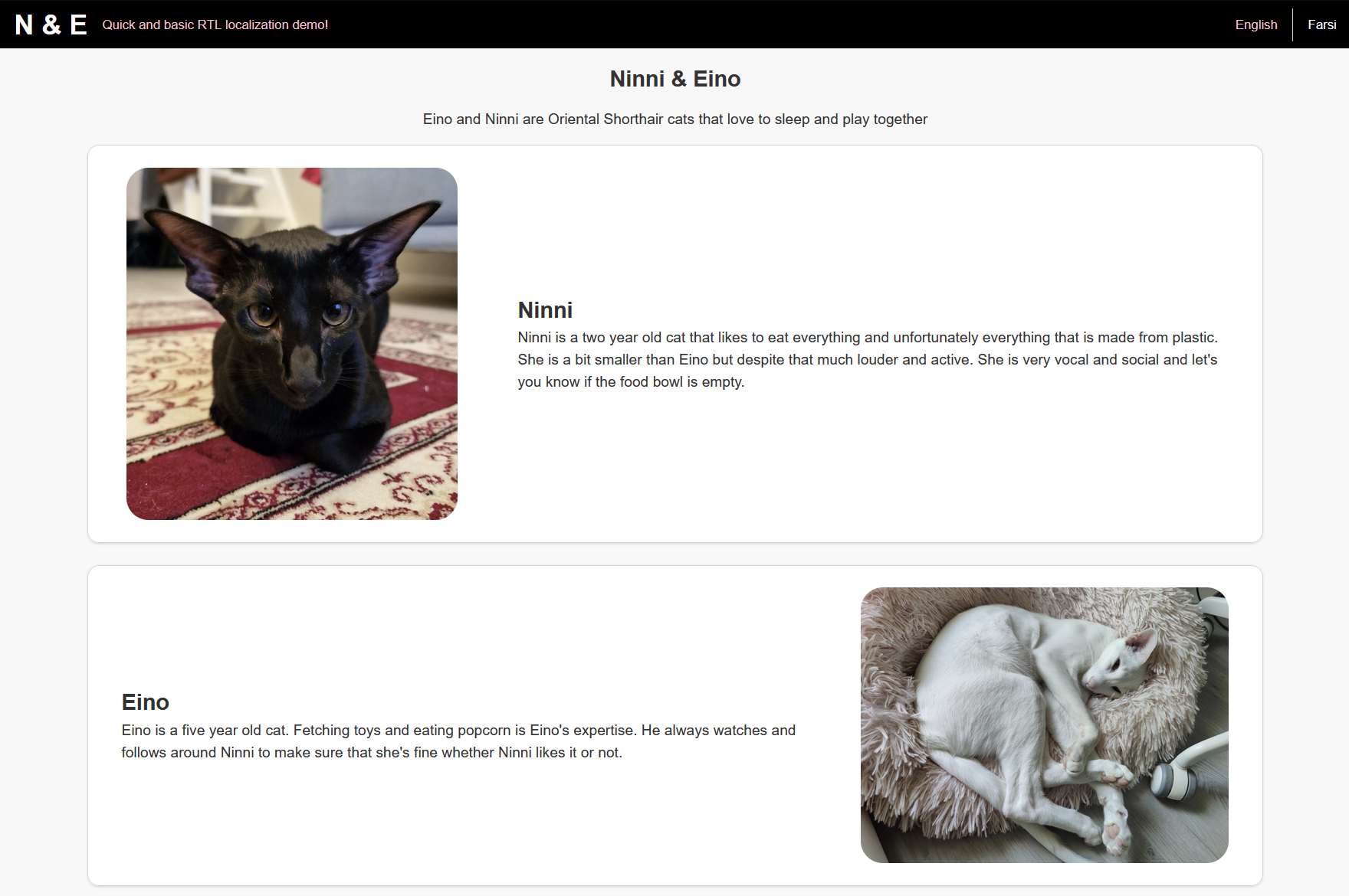 [simple website 1.png]