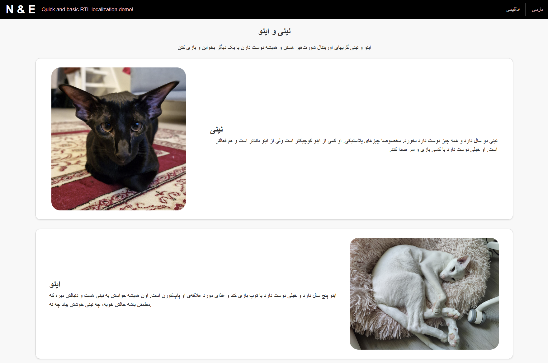 [simple website 2.png]