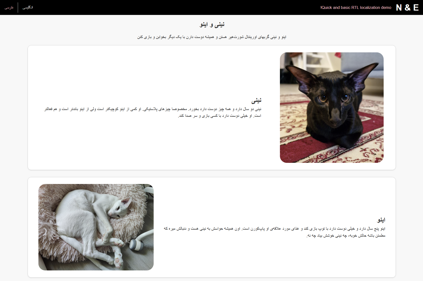 [simple website 4.png]