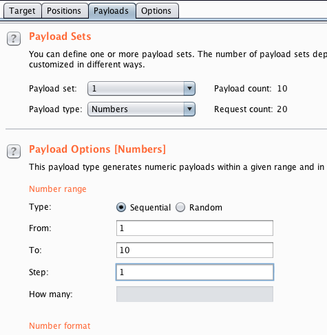 Burp intruder options
