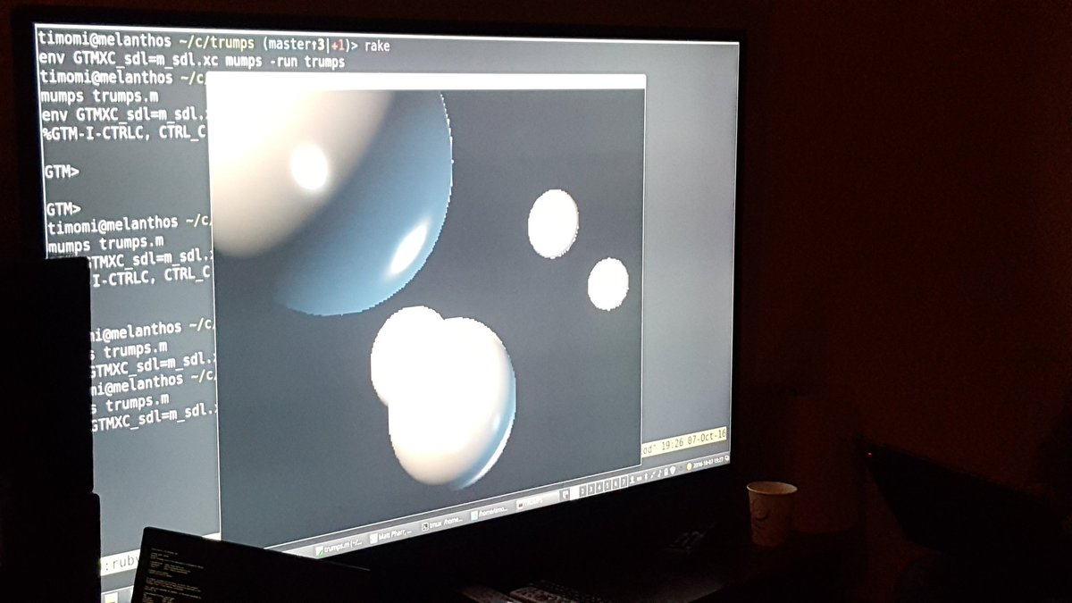 mumpsraytracer